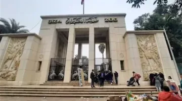 التاريخ الرسمي لافتتاح حديقة الحيوان في الجيزة بعد مراحل التجديد