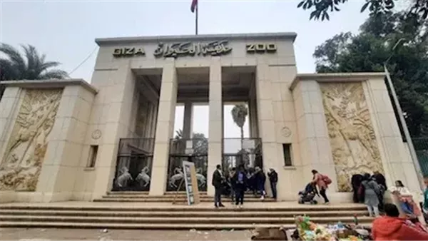 التاريخ الرسمي لافتتاح حديقة الحيوان في الجيزة بعد مراحل التجديد التاريخ الرسمي لافتتاح حديقة الحيوان في الجيزة بعد مراحل التجديد