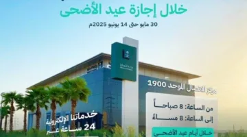 التجارة: استمرار توفير كل الخدمات لكافة العملاء خلال عطلة عيد الأضحى المبارك