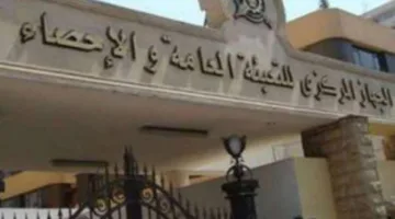 التعداد والإحصاءات: 26.5 مليون أسرة في مصر بحلول 1 يناير 2025