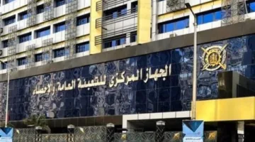 «التقرير الإحصائي»: 186 ألف توك توك مرخص في مصر بحلول نهاية 2024.. والمنطقة الشمالية في المقدمة