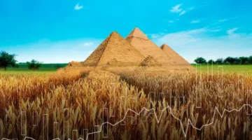 التموين: حوارات مع بلغاريا بشأن تبادل القمح بالفواكه والخضروات