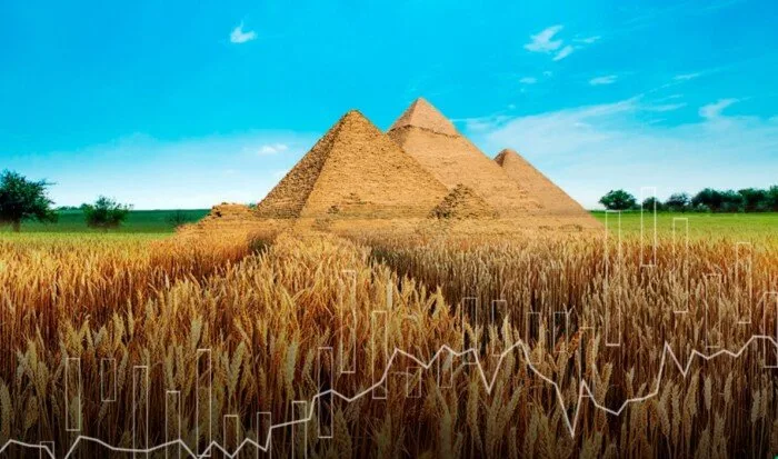 التموين: حوارات مع بلغاريا بشأن تبادل القمح بالفواكه والخضروات التموين: حوارات مع بلغاريا بشأن تبادل القمح بالفواكه والخضروات