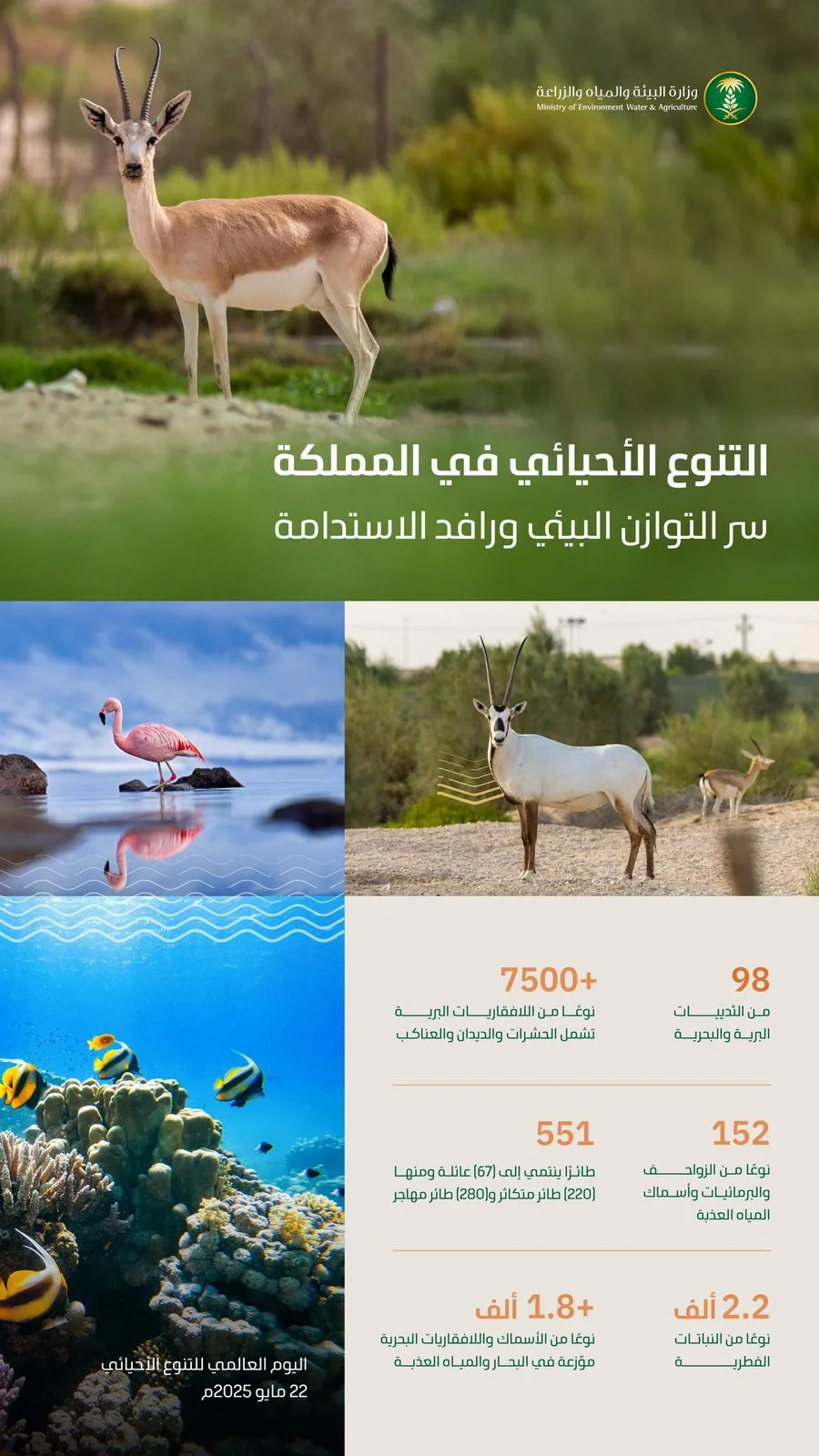 التنوع البيولوجي في السعودية: تراث طبيعي وأساس للاستدامة وتوازن النظم البيئية التنوع البيولوجي في السعودية: تراث طبيعي وأساس للاستدامة وتوازن النظم البيئية