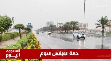 توقعات الطقس في السعودية ليوم الأربعاء 28 مايو 2025