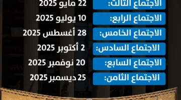 الجدول المتبقي لاجتماعات البنك المركزي المصري لتحديد أسعار الفائدة في 2025 | إنفوجراف