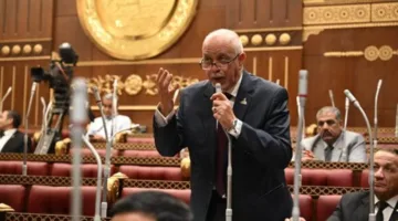 الجندي: كلمة السيسي في قمة بغداد أكدت مجددًا المواقف الثابتة لمصر تجاه فلسطين