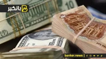 الجنيه يتفوق على الدولار.. إنجاز اقتصادي ملحوظ بفضل استراتيجيات البنك المركزي