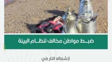 الجهات البيئية تضبط شخصًا مخالفًا لنظام البيئة بسبب إشعال النيران في المناطق النباتية في حائل.