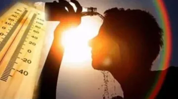 الحرارة تصل إلى 42 درجة مئوية.. الأرصاد تكشف حالة الطقس اليوم الأحد
