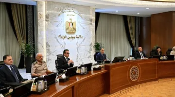 الحكومة تضمن تجاوز أي تحديات لضمان نجاح الشركات الأمريكية في مصر.