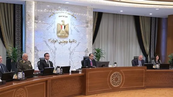 الحكومة توافق على لائحة صندوق تحسين الخدمة بمستشفيات ومراكز الصحة النفسية