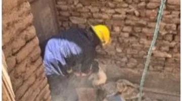 الحماية المدنية في الفيوم تتمكن من إنقاذ قطتين محشورتين في مبنى سكني.