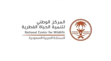 «الحياة البرية» تLaunching initiative to monitor seagrasses along the Red Sea coast