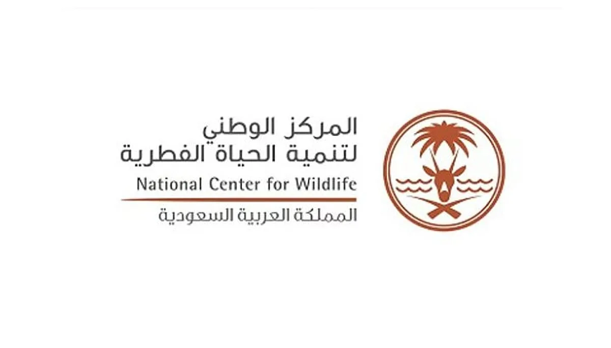 «الحياة البرية» تLaunching initiative to monitor seagrasses along the Red Sea coast «الحياة البرية» تLaunching initiative to monitor seagrasses along the Red Sea coast