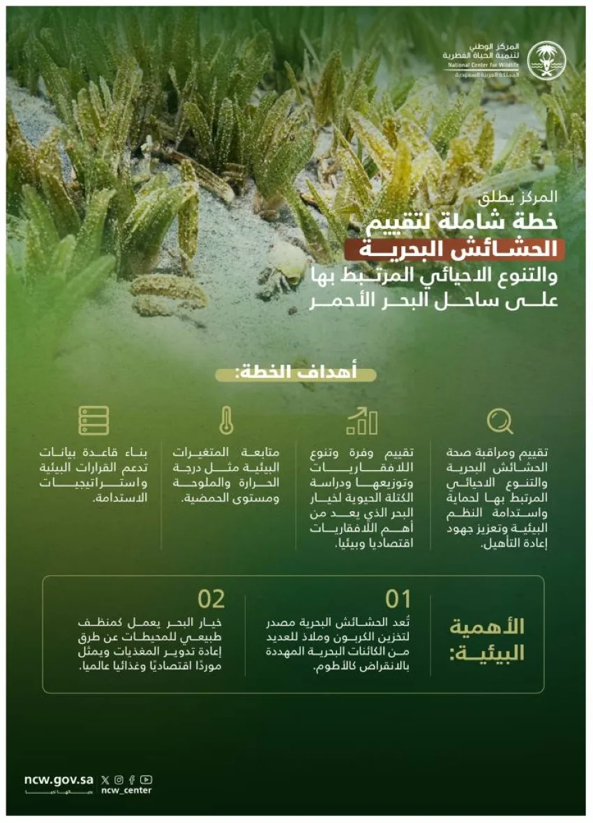 الحياة البرية تُطلق استراتيجية لمتابعة النباتات البحرية والتنوع البيولوجي المرتبط بها على طول سواحل البحر الأحمر الحياة البرية تُطلق استراتيجية لمتابعة النباتات البحرية والتنوع البيولوجي المرتبط بها على طول سواحل البحر الأحمر