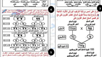 الخمسة مواضيع الوراثية الرئيسية المتوقعة في منهج العلوم للصف الثالث الإعدادي