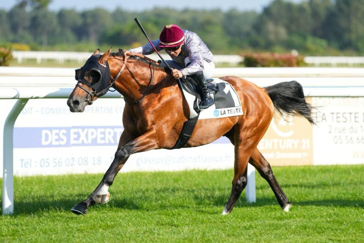 الخيل القطرية تستمر في تحقيق النجاحات في المنافسات الدولية الخيل القطرية تستمر في تحقيق النجاحات في المنافسات الدولية