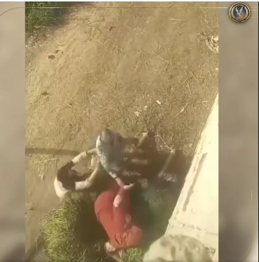 الداخلية تُعلن عن تفاصيل اعتداء على سيدة بعصا خشبية في الدقهلية: نزاع بشأن الحدود بين أراضيين الداخلية تُعلن عن تفاصيل اعتداء على سيدة بعصا خشبية في الدقهلية: نزاع بشأن الحدود بين أراضيين