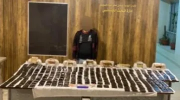 الدخلية: ضبط شحنة حشيش بقيمة 2 ونصف مليون جنيه بالإسماعيلية