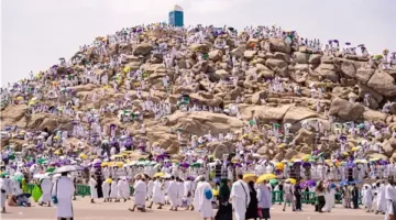الدفعة الأولى للحج.. الداخيلة تدعم البعثة المصرية في الأماكن المقدسة