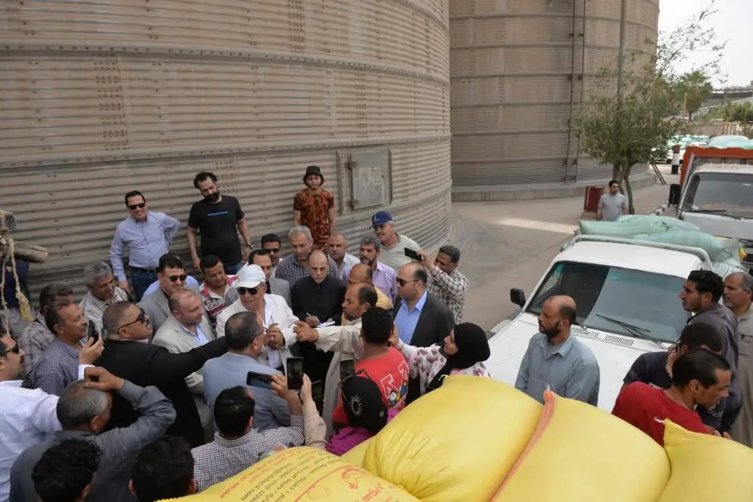الدقهلية: توريد 112 ألف طن قمح محلي للشون والصوامع