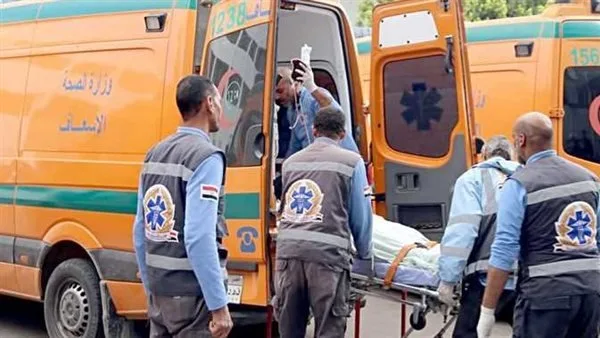 الدم بقا ميه.. مقتل مسنة على يد حفيدتها بالشرقية
