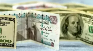 الدولار يتراجع 6 قروش أمام الجنيه في عدد من البنوك المصرية