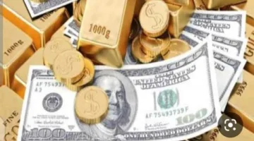 الدولار يتراجع… الذهب يتقلب والأسواق تشهد تغييرات مفاجئة.. تفاصيل اجتماع الرئيس مع محافظ البنك المركزي.. ومبادرة صينية جديدة في مصر