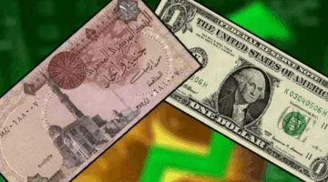 الدولار يتراجع تحت عتبة 50 جنيهًا للمرة الأولى منذ عدة أشهر مقابل الجنيه المصري