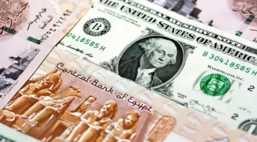 الدولار ينخفض في المصارف ويصل إلى ما دون 50 جنيهاً