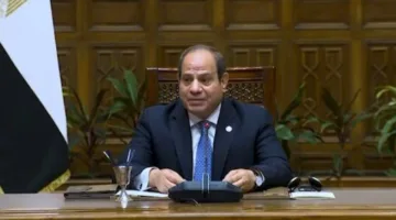 «الرئيس السيسي»: الجهود الكبيرة التي تم بذلها على مدار العقد الماضي توفر فرصة حقيقية للمستثمرين