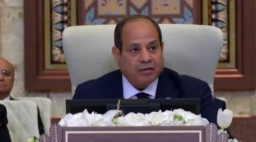 الرئيس السيسي: مصر تواصل مساعيها الجادة لتحقيق مصالحة سياسية شاملة في ليبيا