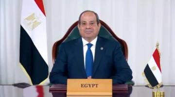 الرئيس السيسي: نؤكد اهتمام مصر بتعزيز الشراكات البناءة وتطوير السلام والتنمية في إفريقيا