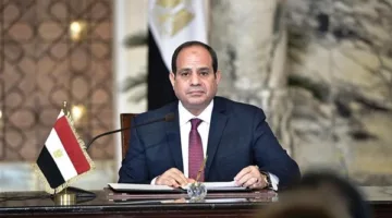 قرار رئاسي لإنشاء جامعة خاصة في مدينة دمياط الجديدة.. التفاصيل