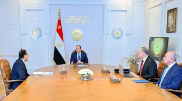 الرئيس السيسي يؤكد على أهمية محاسبة المسؤولين عن أزمة البنزين