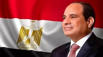 الرئيس السيسي يؤكد على أهمية اتخاذ تدابير لضمان استقرار إمدادات الكهرباء