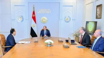 الرئيس السيسي يطلب من الحكومة اتخاذ جميع الإجراءات اللازمة لضمان استقرار إمدادات الكهرباء في فصل الصيف.