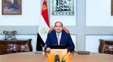 الرئيس السيسي يلتقي المدير التنفيذي لشركة “شل” ويشدد على تعزيز بيئة الاستثمار