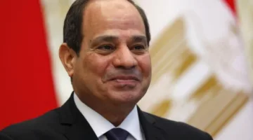 الرئيس السيسي يناقش طرق تعزيز الشراكة مع البنك الإفريقي للتنمية
