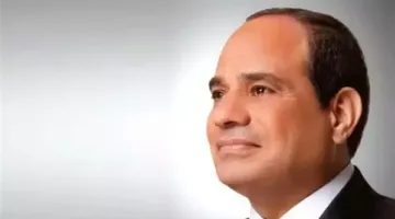 الرئيس السيسي يناقش مع وزير الاتصالات آخر التطورات في مبادرة “الرواد الرقميون”