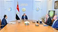 الرئيس السيسي يُعبر عن تقديره للتعاون المشترك بين شركة شل العالمية ومصر
