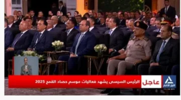 الرئيس يفتتح مركز الخدمات الحكومية الذكية في الوادي الجديد