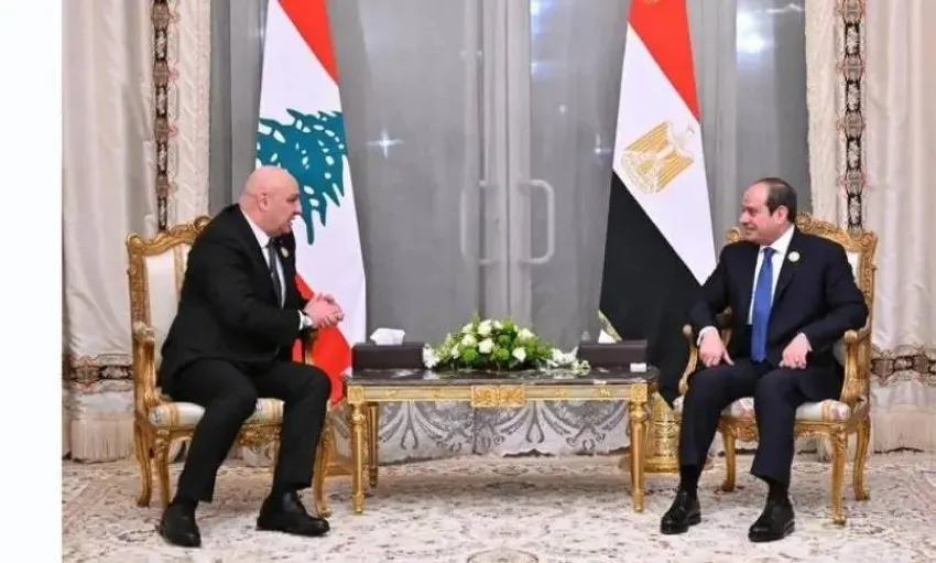 الرئيسان المصري واللبناني يناقشان طرق تعزيز التعاون المشترك الرئيسان المصري واللبناني يناقشان طرق تعزيز التعاون المشترك