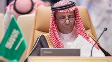 الرسي يشدد على ضرورة التعاون المشترك مع دول رابطة الآسيان