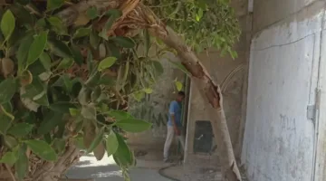 الرعاية الإلهية تنقذ طفلين تعرضا لصعق كهربائي في شهر أكتوبر