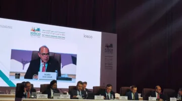 الرقابة المالية: التقدم التكنولوجي يستدعي وضع معايير واختبارات مسبقة.