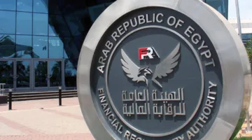 الرقابة المالية: الشركات حصلت على 66.41% من التمويلات الصغيرة في مارس 2025