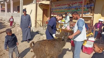 “الزراعة” تبدأ بتنظيم قوافل بيطرية مجانية لرعاية أكثر من 15 ألف حيوان وطائر.
