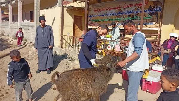 “الزراعة” تبدأ بتنظيم قوافل بيطرية مجانية لرعاية أكثر من 15 ألف حيوان وطائر.